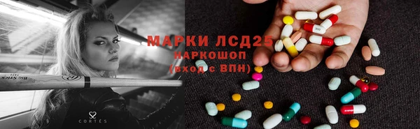 spice Богородицк