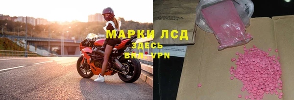 spice Богданович
