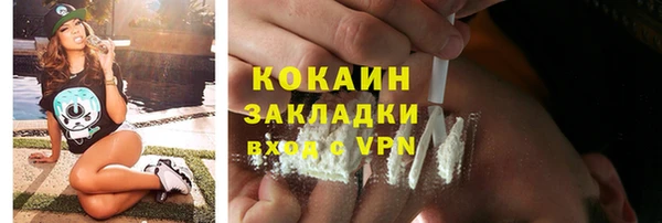 spice Богородицк