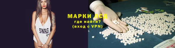 spice Богородицк
