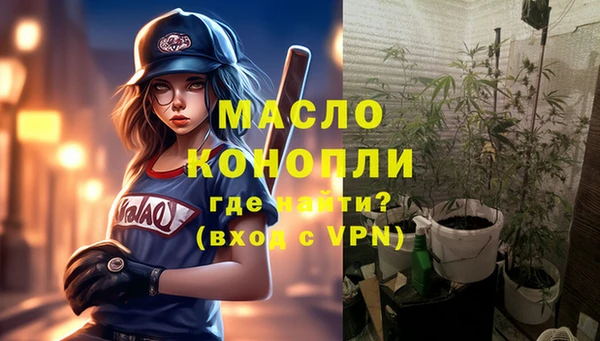 spice Богородицк