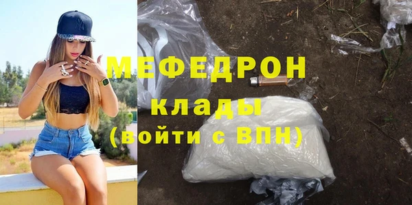 spice Богородицк