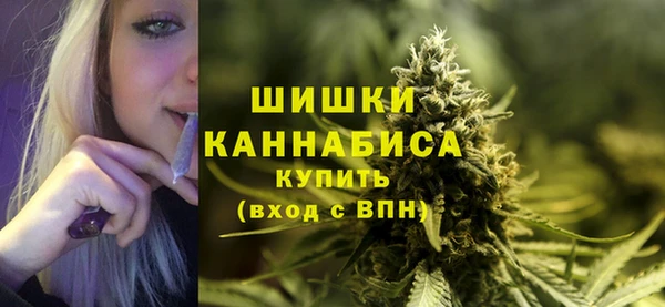 spice Богданович