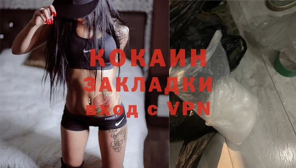 spice Богданович