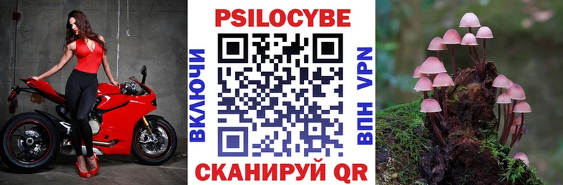 Галлюциногенные грибы Magic Shrooms  хочу   Богородицк 